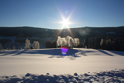 Der Winter zeigt sich von seiner schönsten Seite