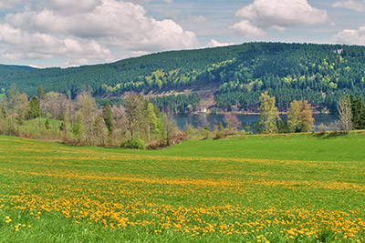 Traumhafter Ausblick auf den Titisee