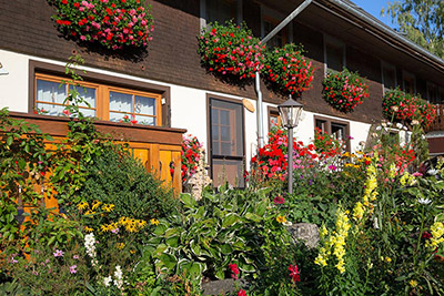 Blumenpracht am Hof