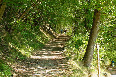 Zahlreiche Wanderwege starten direkt am Haus
