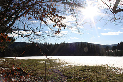 Herrlicher Winterspaziergang