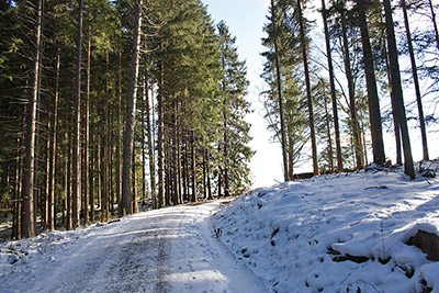 Herrlicher Winterspaziergang