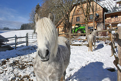 Die wärmende Sonne in vollen Zügen genießen