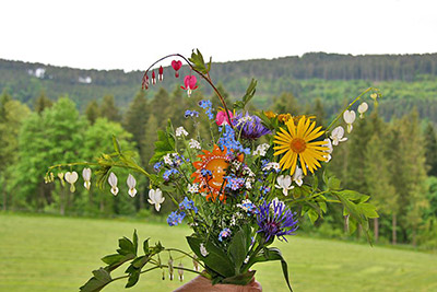 Wohnung Seewaldblick